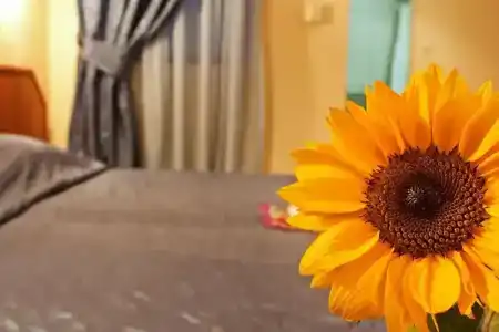 Saint George & Medical Spa - 13