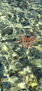 Grand Oasis Resort - 98