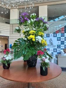 Novotel Fujairah - 37