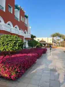 Sunrise Mamlouk Palace Resort - 90