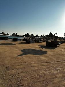 Hurghada Coral Beach - 63