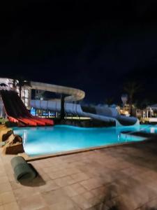 Beach Albatros Resort - 73