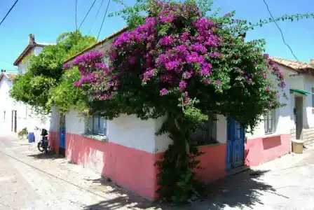 Club Resort Atlantis - 77