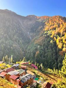 Ayder Doga Resort - 37