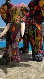 Transatlantik & Spa - 95