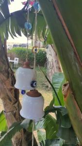 Kamer Exclusive & Suites - 39