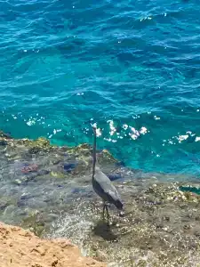 Stella Di Mare Beach & Spa - 37