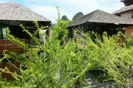 Avatar Railay - 53
