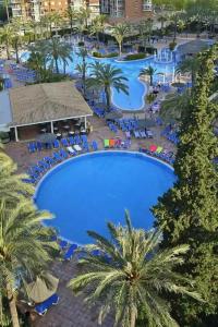 Sol Pelicanos Ocas - 49