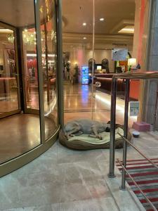 Megasaray Westbeach Antalya - All Inclusive - 89