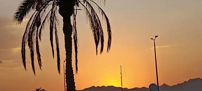 Dreams Vacation Resort - Sharm El Sheikh - 34