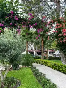 Seven Seas Life - Ultra All Inclusive & Kids Concept - 93