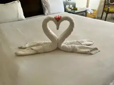 Sphinx Aqua Park Beach Resort - 30