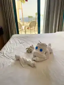 Pyramisa Beach Resort Sharm El Sheikh - 10