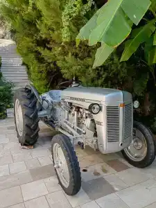 Petunya Konak Boutique - 4