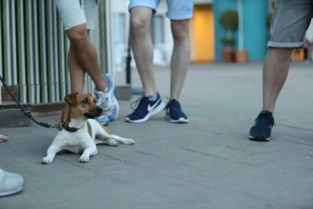 Ritual Torremolinos- Adults Only - 32