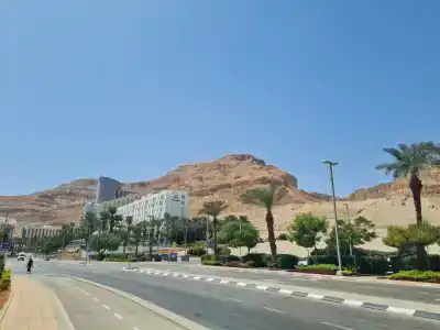 Vert Dead Sea - 23