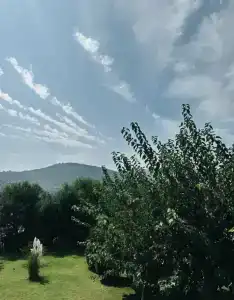 Susona Bodrum, LXRs & Resorts - 67