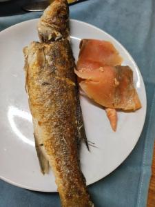 Poseidon - Adult Only - 81