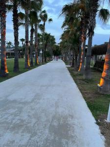 Loxia Comfort Club Side - 61