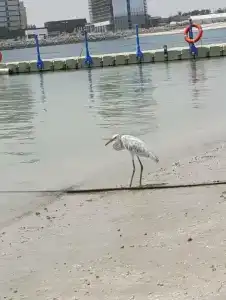 Hampton By Hilton Marjan Island - 90