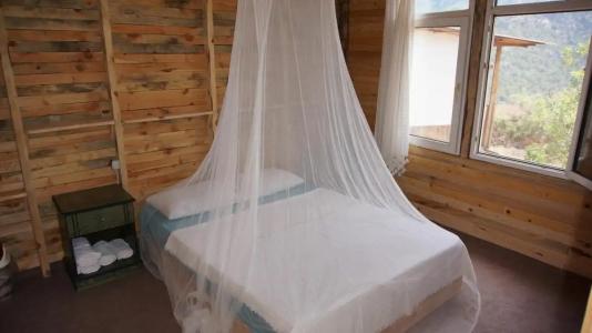 Shiva Camp - 58