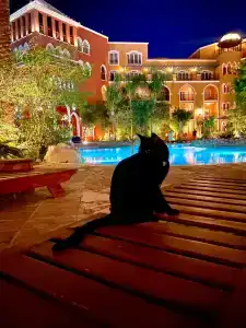 The Grand Resort - 15