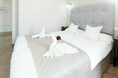 Toboso Chaparil - 52