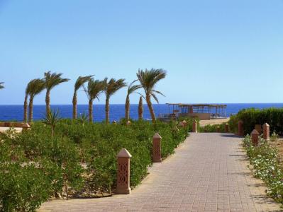 Viva Blue Resort and Diving Sharm El Naga (Adults Only) - 89
