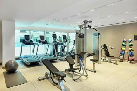 Hilton Garden Inn Dubai Mall Of The Emirates - 89