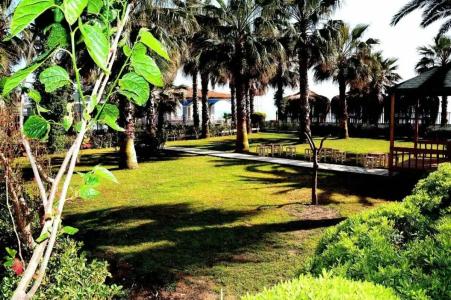 Holiday Garden Resort - 32