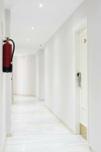 Toboso Chaparil - 62