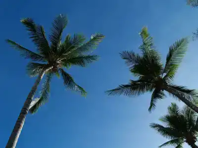 Bangtao Village Resort - SHA - 32