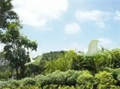 Chomview Resort - 32