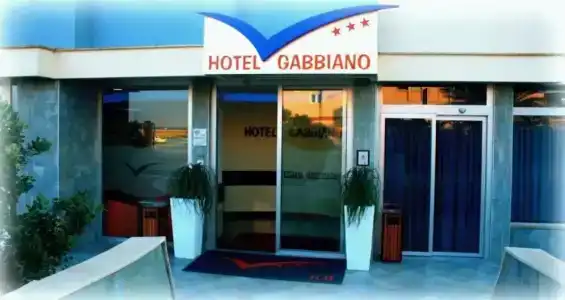 Gabbiano - 8