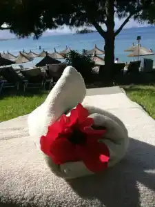 Yasmin Bodrum Resort - 48