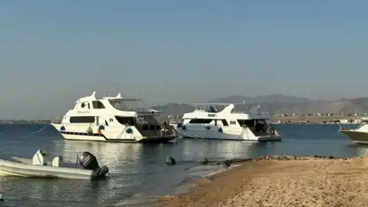 Amarina Abu Soma Resort & Aquapark - 19