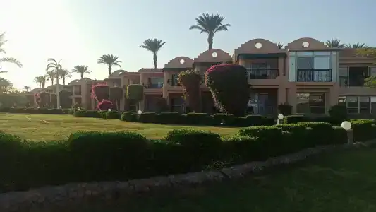 Ali Baba Palace -Families and Couples Only- - 29