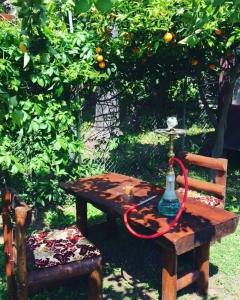 Alican Izba House - 47