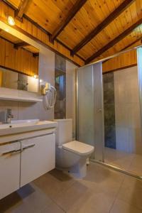 Caretta Caretta Pension - 77