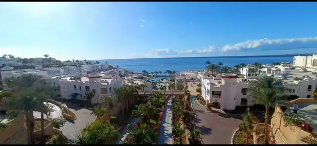 Continental Plaza Beach Resort - 88