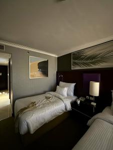 Radisson Blu, Cairo Heliopolis - 94