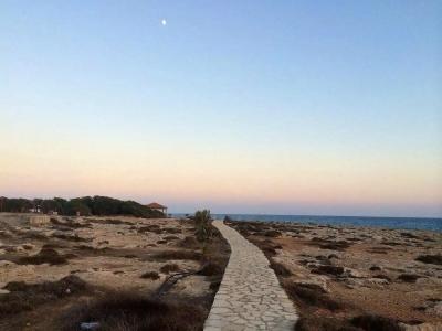 Tsokkos Paradise Holiday Village - 84