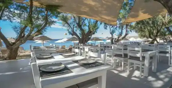 Regia Mare Beach Bodrum - 84