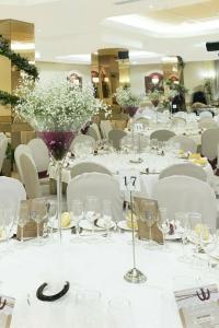 Toboso Chaparil - 53