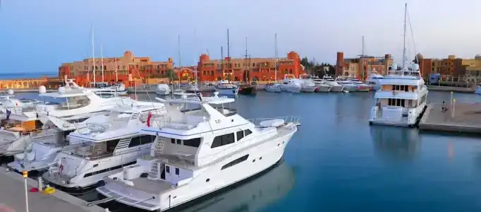 Ali Pasha - 3