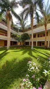 Barceló Tiran Sharm - 40