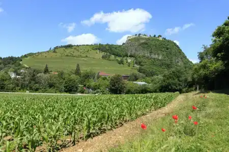 Best Western Lamm - 7