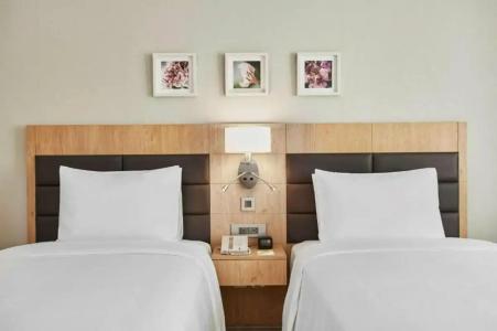 Hilton Garden Inn Dubai Mall Of The Emirates - 48