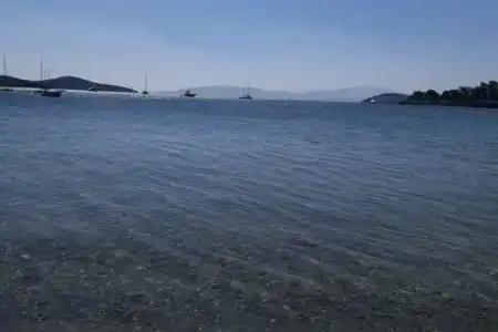 Bitez Garden Life - 79